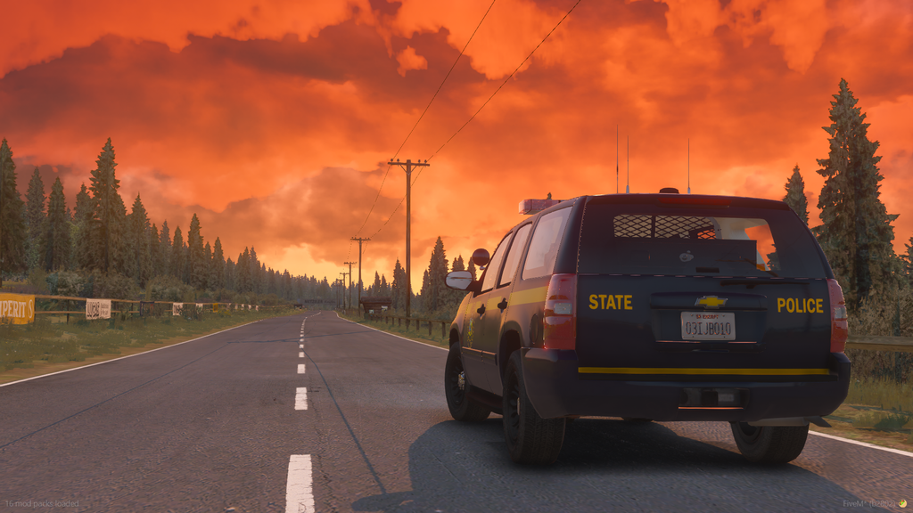 [NYSP] 13 SUV