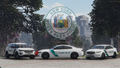 New York State Park Police Pack
