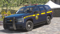 [NYSP] 13 SUV