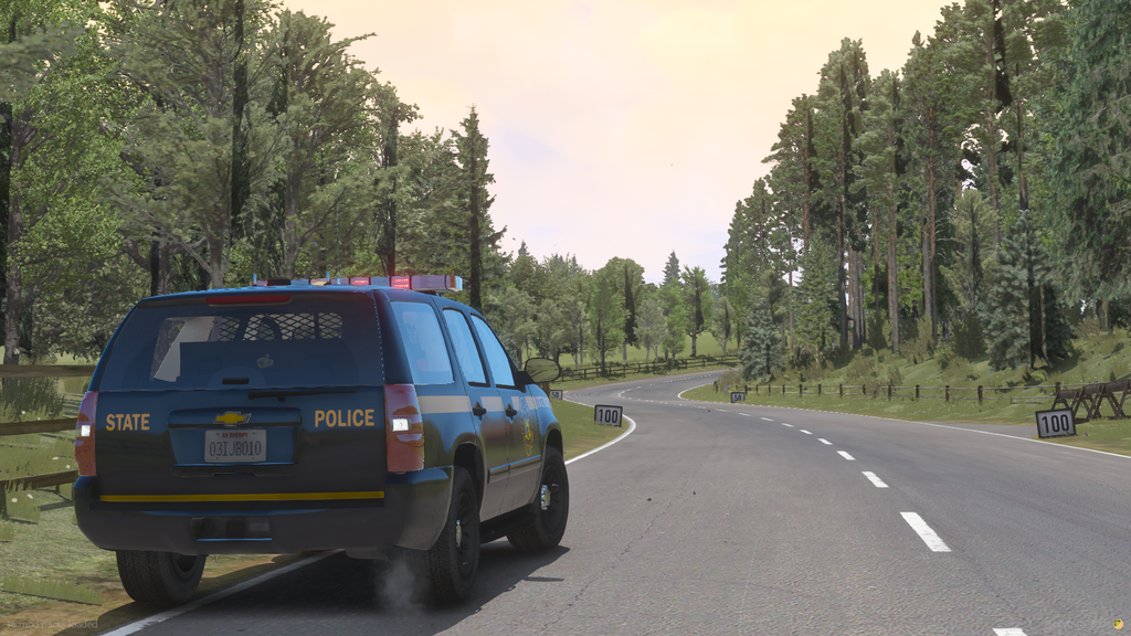 [NYSP] 13 SUV